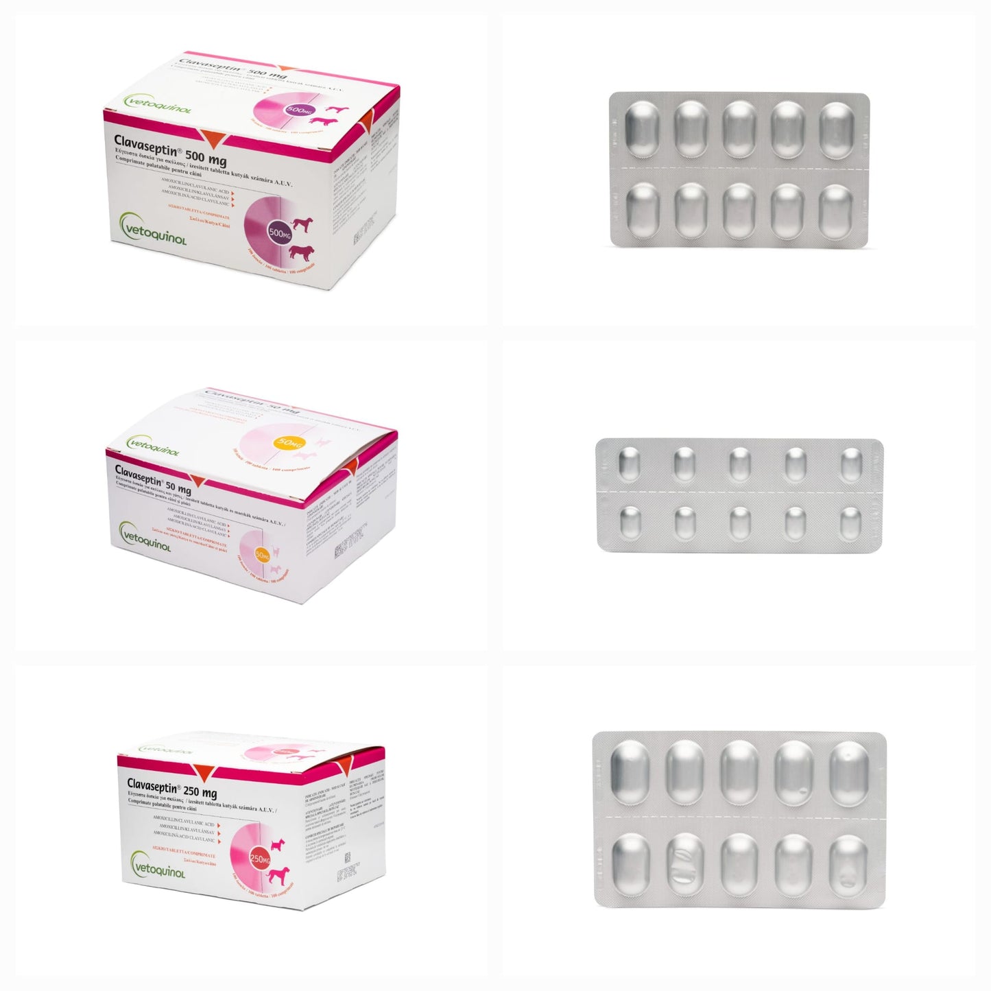 Clavaseptin // Clavucill 10 tablets for Dogs and cats // Amoxicillin+Clavulanic acid / cani e gatti