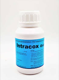INTRACOX ORAL 100 ML // Toltrazuril // poulets (poulets de chair) et dindes.