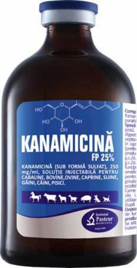 Kanamicina FP 25% 100 ml// Cavalli, bovini, pecore, capre, suini, uccelli (polli), cani e gatti // Chevaux, bovins, ovins, caprins, porcs, oiseaux (poulets), chiens et chats