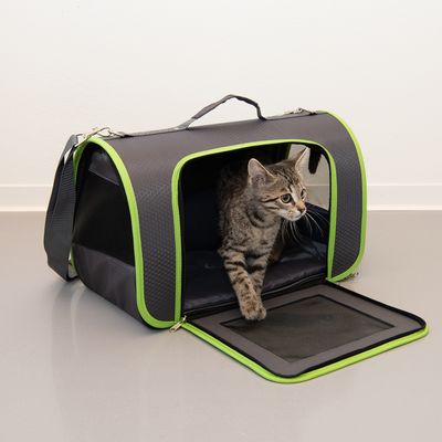 Technicolor Carrying Case/ Carrying case for dogs and cats up to 6.5 kg-L 45 x l 25 x î 28 cm
