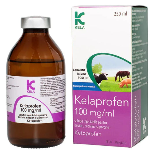 KELAPROFEN 100 MG // ketoprofen // Horses, cattle, pigs / cavalli, bovini, suini