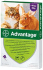 ADVANTAGE SPOT ON CATS / RABBITS // imidacloprid 40mg // gatti e conigli