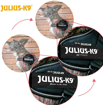 JULIUS K9 - IDC PowerHarness - BLACK