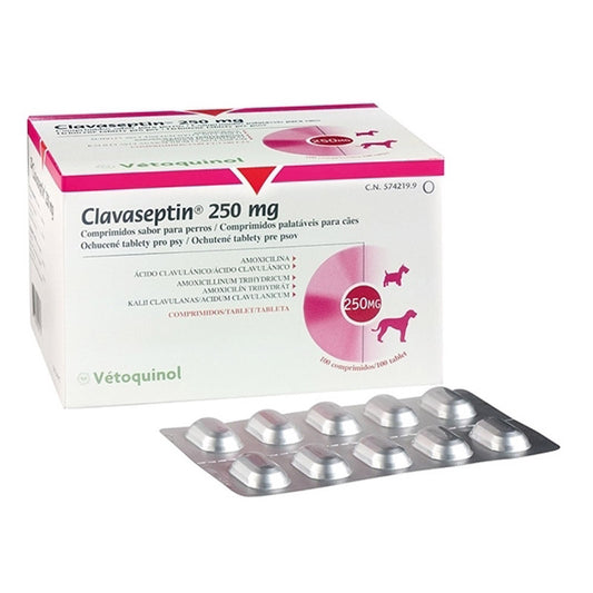 CLAVASEPTIN 10 TABLETS FOR DOGS AND CATS