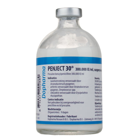 PENJECT 30 100 ML // procaine benzylpenicillin 300,000 IU // cattle, pigs, horses, dogs, cats / bovini, suini, cavalli, cani, gatti