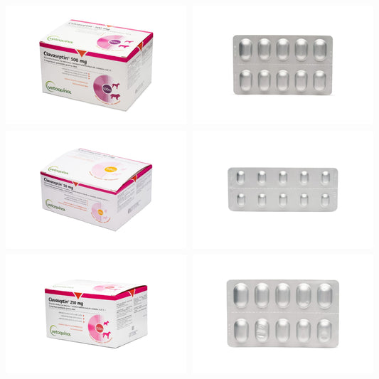 Clavaseptin // Clavucill 10 tablets  for Dogs and cats  // Amoxicillin+Clavulanic acid / cani e gatti