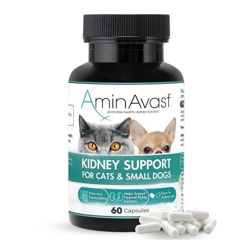 AminAvast Cats and Small Dogs - nutritional supplement to support cats' kidneys I 60cp