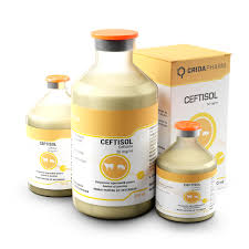 CEFTISOL 50 mg/ml // Ceftiofur // cattle and pigs / bovini e suini