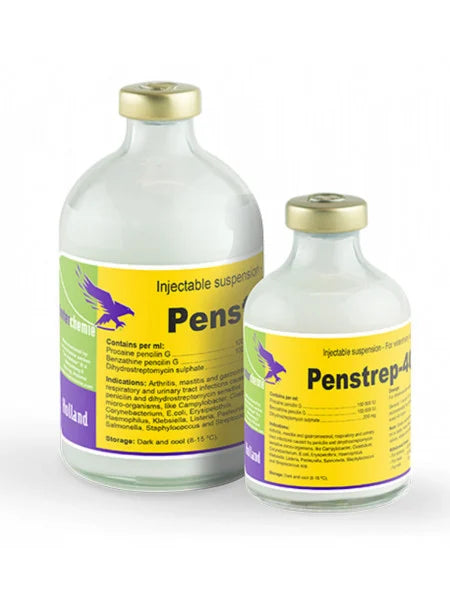 PENSTREP 400 100 ML // Procaine Benzylpenicillin, Dihydrostreptomycin sulfate // Cattle, Sheep, Pigs, Dogs, Cats / bovini, pecore, suini, cani, gatti