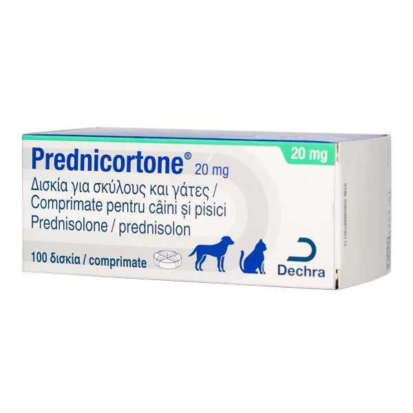 PREDNICORTONE 10 TAB // Prednisolone // CHIENS ET CHATS /CANI E GATTI
