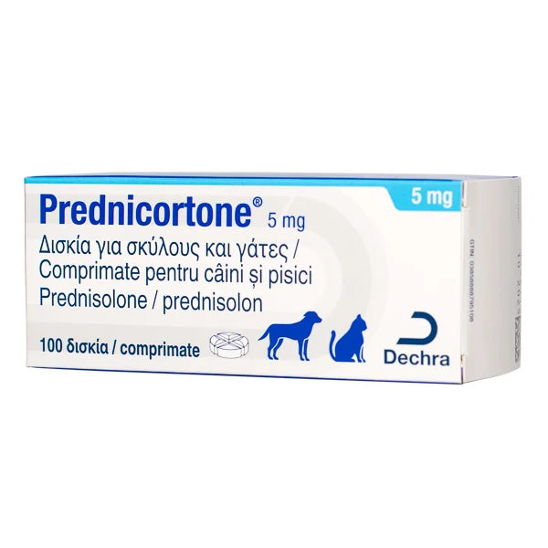 PREDNICORTONE 10 TAB // Prednisolone // CHIENS ET CHATS /CANI E GATTI