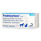 PREDNICORTONE 10 TAB // Prednisolone // CHIENS ET CHATS /CANI E GATTI