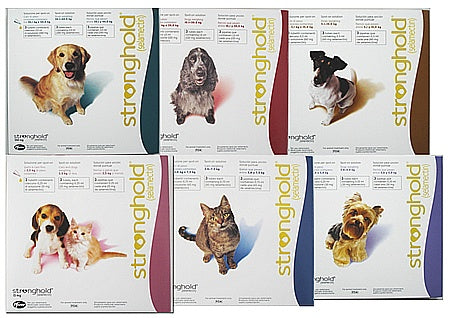 STRONGHOLD for dogs and cats - 3 pipette // dewormer and external antiparasitic / Vermifugo e antiparassitario esterno per cani e gatti 3 pipette // Selamectin