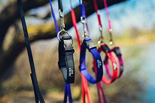 Color & Gray Super-Grip Leash with Handle, and D-Ring, 0.79 in x 6.56 ft, Black-Gray - Pet Shop Luna