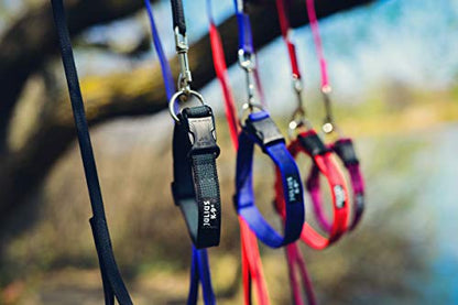 Color & Gray Super-Grip Leash with Handle, and D-Ring, 0.79 in x 6.56 ft, Black-Gray - Pet Shop Luna
