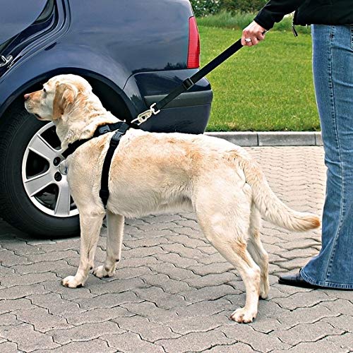 Trixie - Imbracatura con Cintura di Sicurezza - Pet Shop Luna