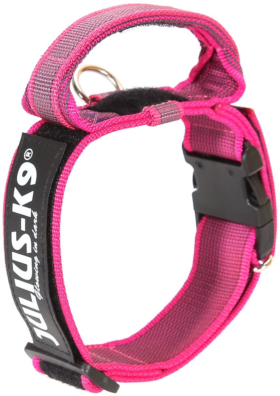 Julius-K9 Collare Color & Gray - Pet Shop Luna