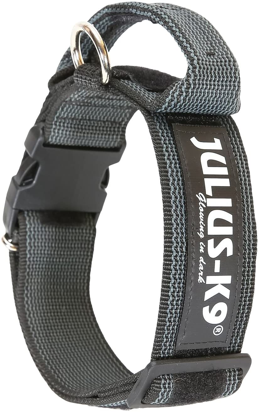 Julius-K9 Collare Color & Gray - Pet Shop Luna