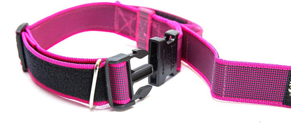 Julius-K9 Collare Color & Gray - Pet Shop Luna