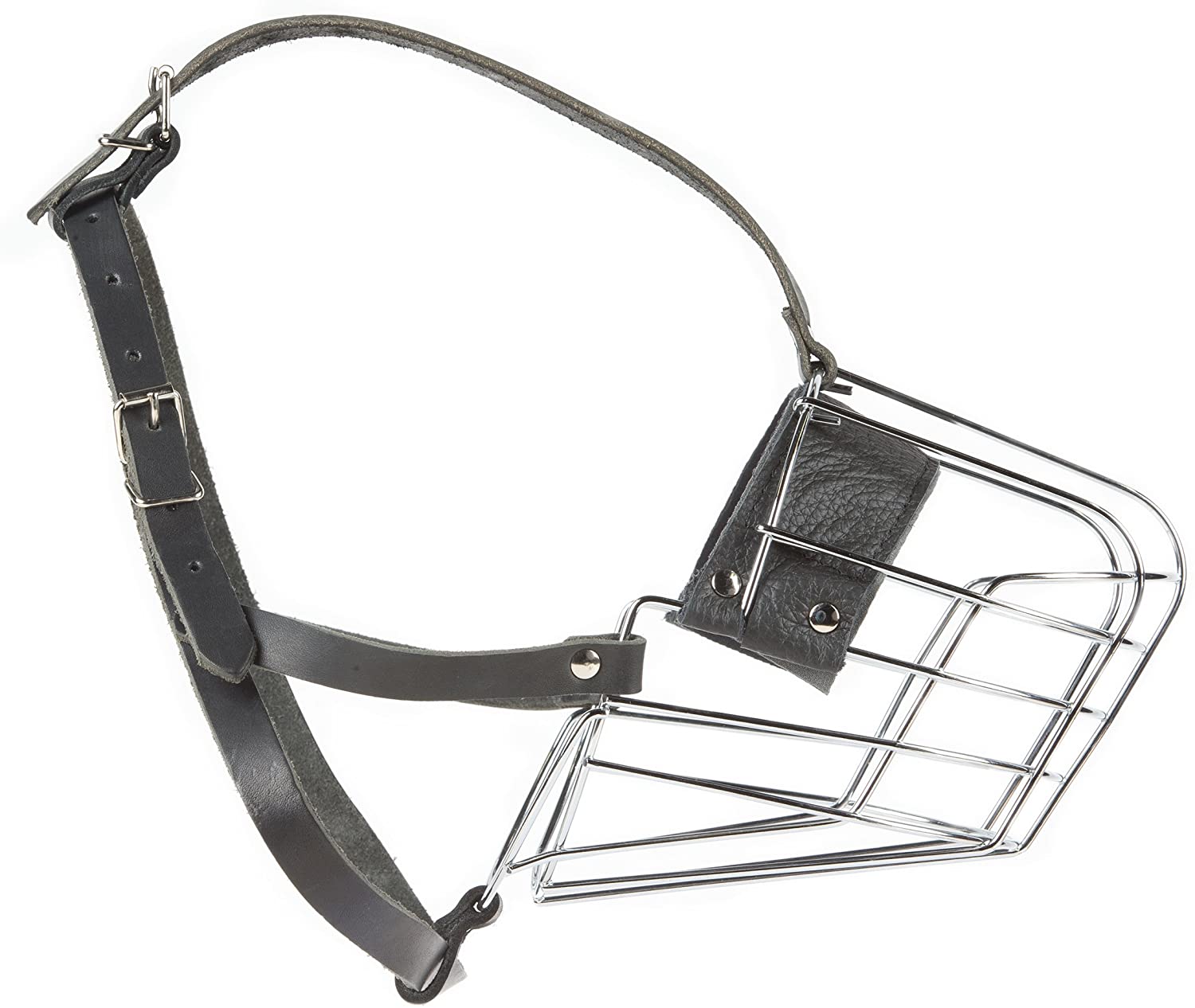 Julius K9 190BE Maulkorb für Bernhardiner - Pet Shop Luna