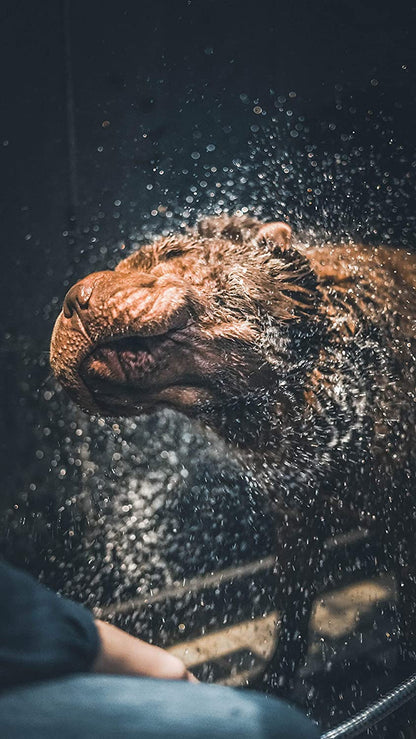 Vetocanis Shampoo Ipoallergenico - Pet Shop Luna