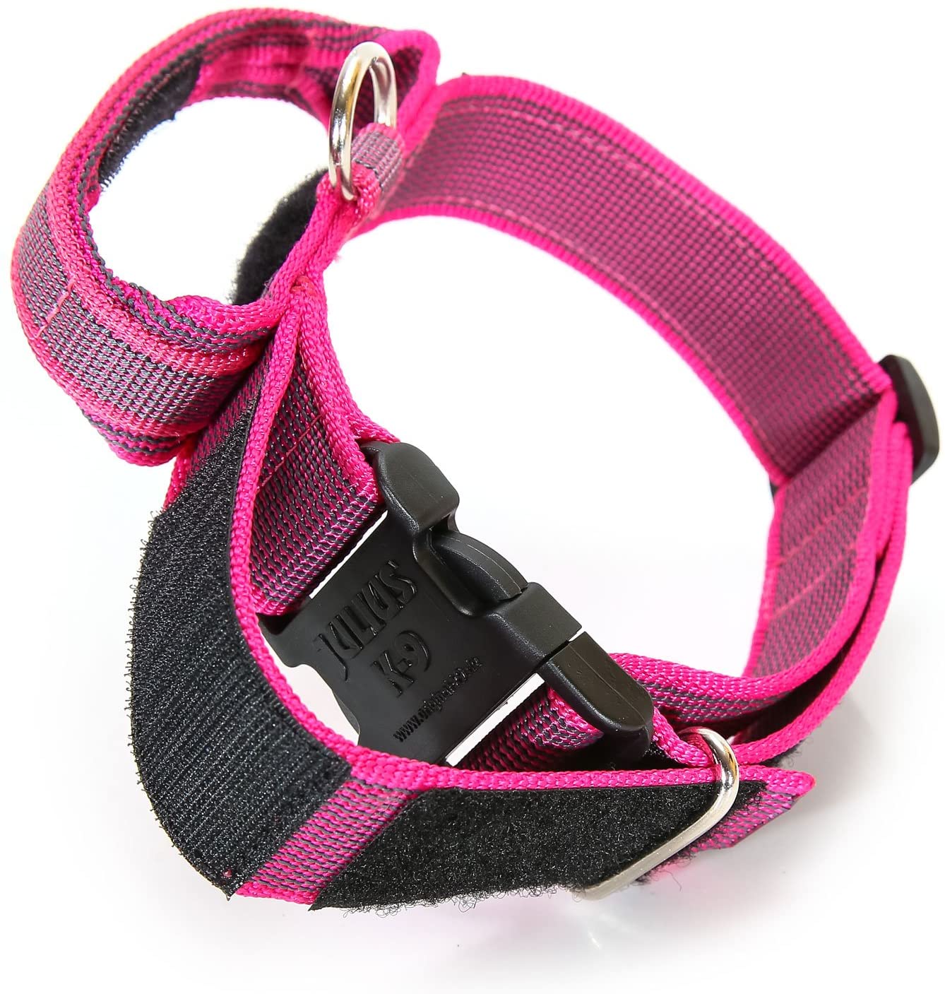 Julius-K9 Collare Color & Gray - Pet Shop Luna