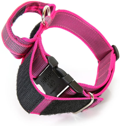 Julius-K9 Collare Color & Gray - Pet Shop Luna