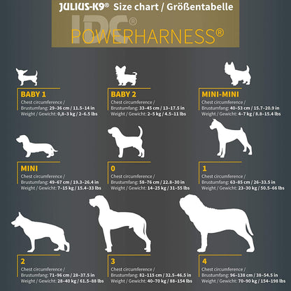 Julius-K9 harness - Pet Shop Luna