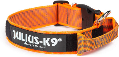 Julius-K9 Collare Color & Gray - Pet Shop Luna