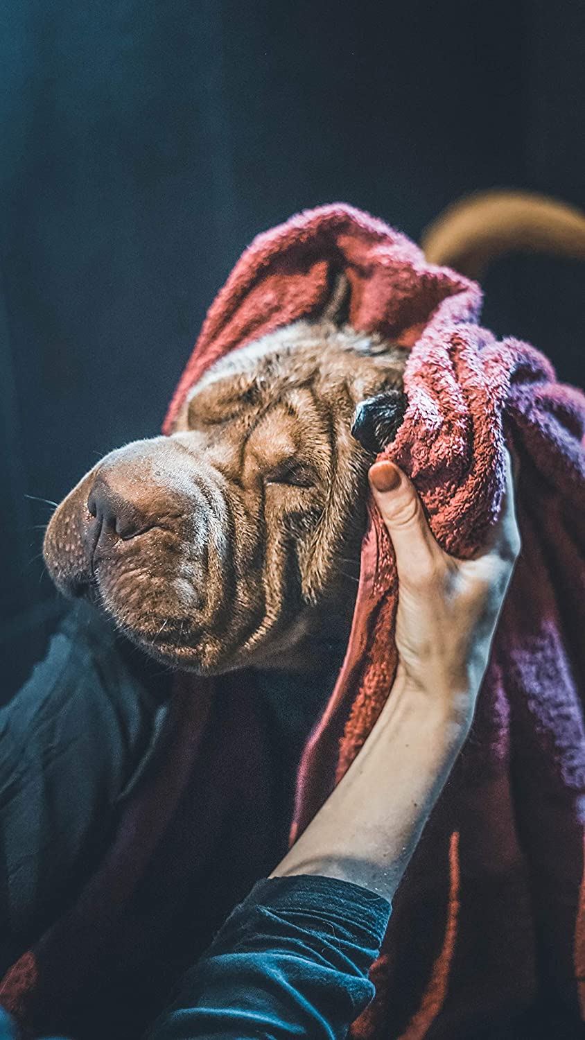 Vetocanis Shampoo Ipoallergenico - Pet Shop Luna