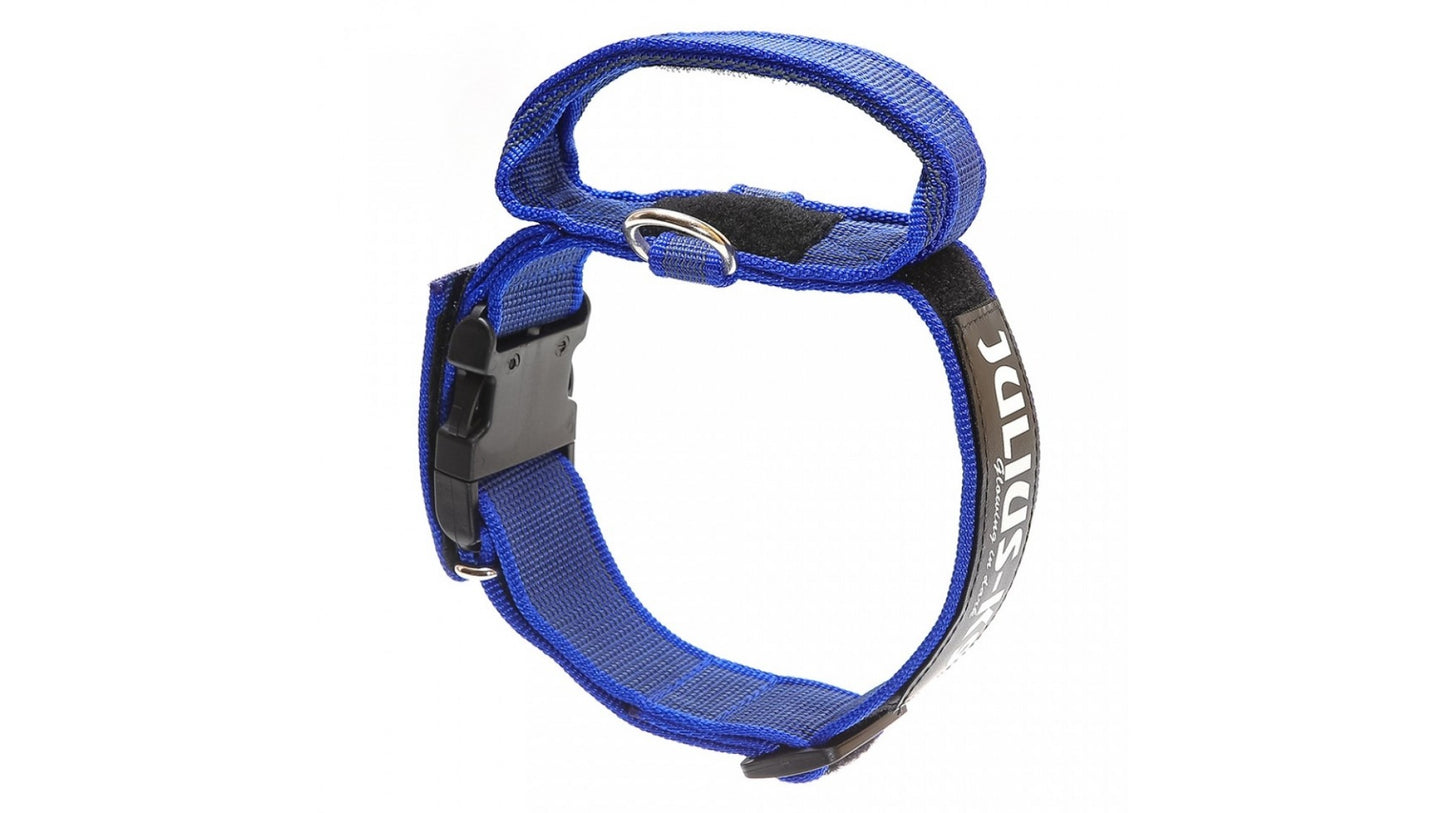 Julius K9 nylon collar with handle for dogs / Collare per cani - Pet Shop Luna
